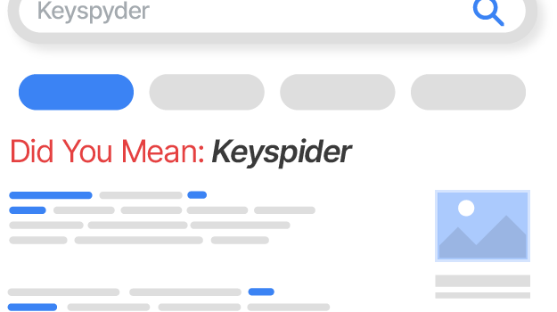 Spell Check / Did You Mean
